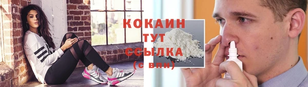 хмурый Алексин