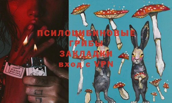 крисы Абинск
