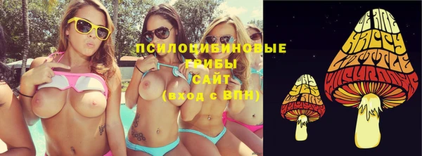 сатива Абаза