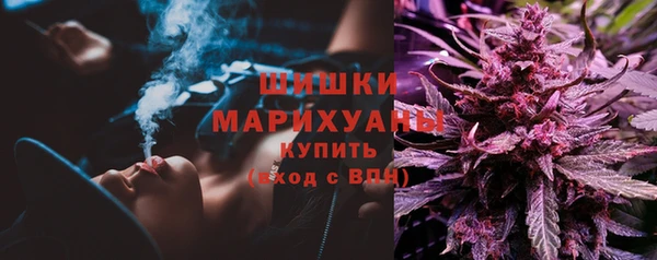 сатива Абаза